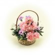 東京都中央区スズキフロリストの花　プードル