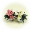 東京都中央区スズキフロリストの花　ミニキャット