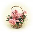 東京都中央区スズキフロリストの花　キャット