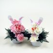 東京都中央区スズキフロリストの花　ミニラビット